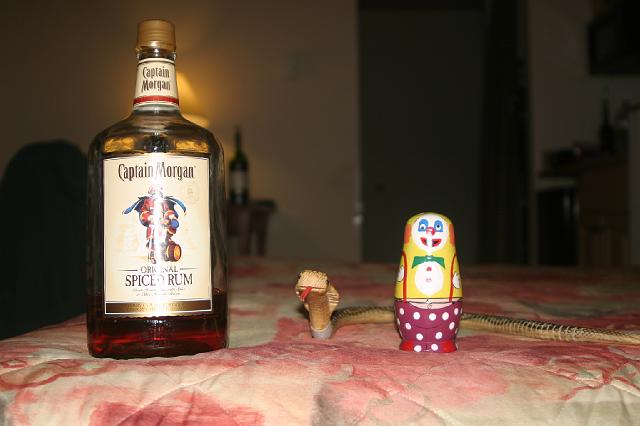 006 001.jpg - The captain, the snake, and the evil clown